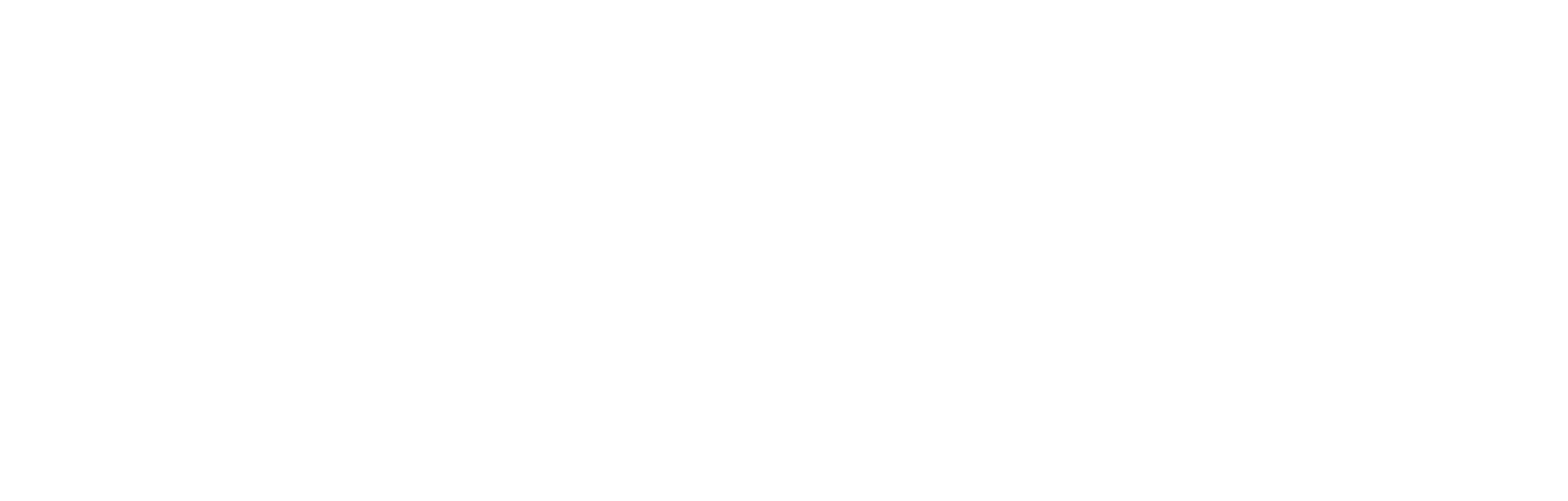 Logo Hospital Nipo-Brasileiro